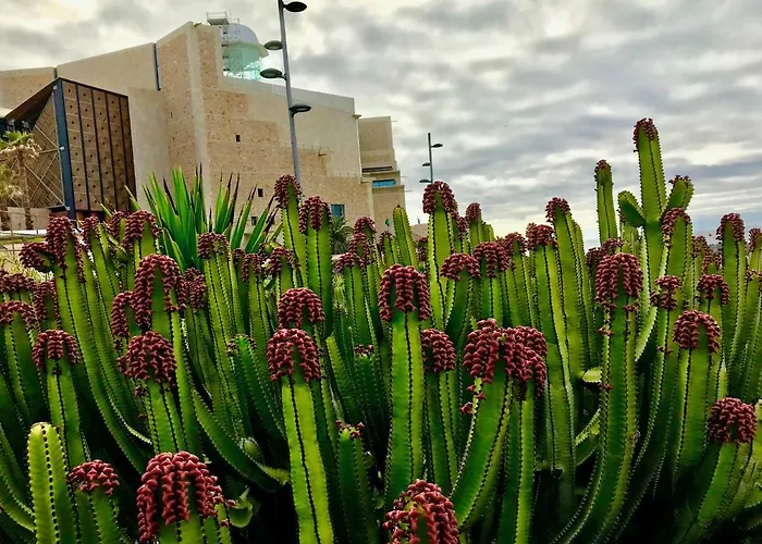 Appartamento Canary Islands Holidays Las Palmas de Gran Canaria