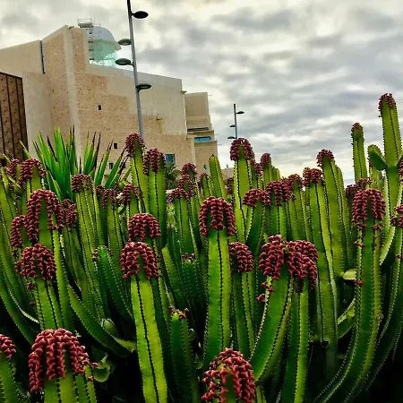 Διαμέρισμα Canary Islands Holidays Λας Πάλμας ντε Γκραν Κανάρια